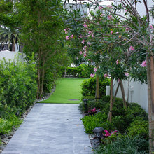 front yard landscaping