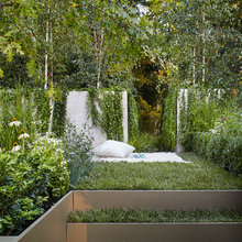 backyard ideas