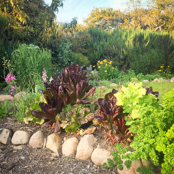 Edible Landscapes