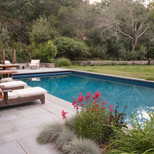 Tiburon Pool