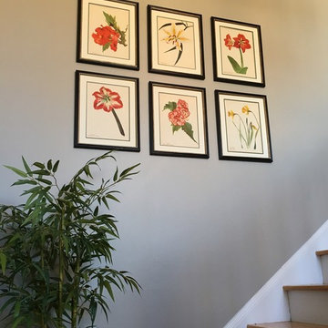 Original Vintage Botanical Framed Prints