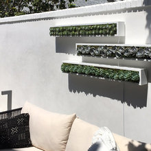 Blake Street Garden