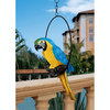 Medium Polly In Paradise Parrot