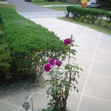 Parking Pad
