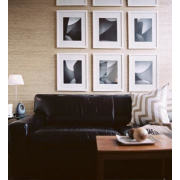 Examples of Past Projects