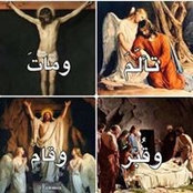 Madona Abboud's photo