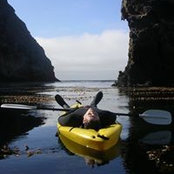 Dale Collingwood's photo