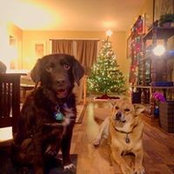 Kevin Smith's photo