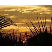 Angie White's photo