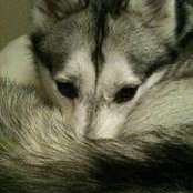 Melissa Blanco's photo