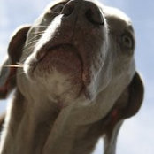 Andy Berkebile's photo