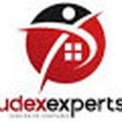 Udex-experts