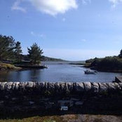 Avril Brien's photo