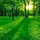 ramesh_venkat75