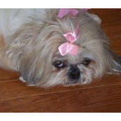 Nancy Savary Propst's photo