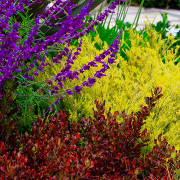 Colorful Garden Design