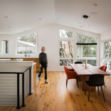 Modern Ranch Whole House Remodel & Addition