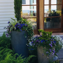 Flower Pots