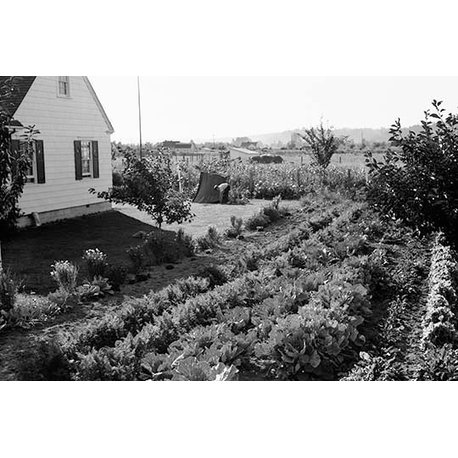 Homestead Poject - Gallery Wrapped Canvas Art 28" x 42"