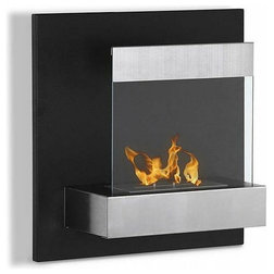 Contemporary Indoor Fireplaces by Modern Blaze