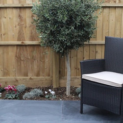 Brazilian Black Slate Paving - Paving, Stones & Walling