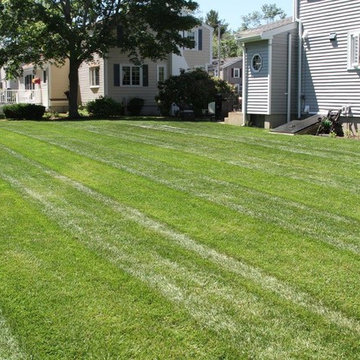 Weymouth Yard Renovation