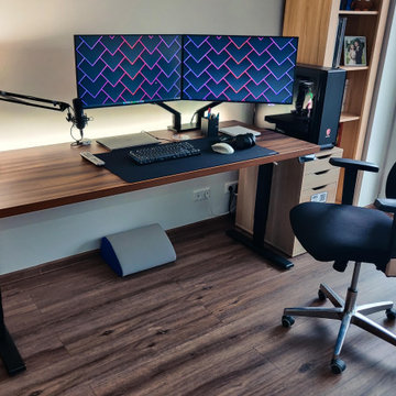 Work and leisure desk setup