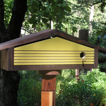 Mid Century Ranch House