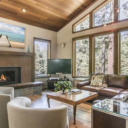 FireplaceX by Travis Industries - FireplaceX DVL GreenSmart Gas Insert - Indoor Fireplaces