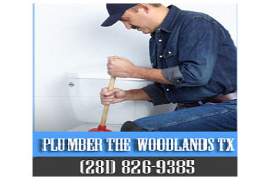Plumber The Woodlands TX