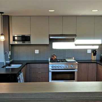 Midcentury Modern Kitchen in Carlisle, PA
