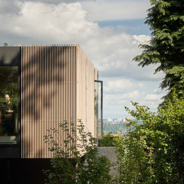Courtyard House