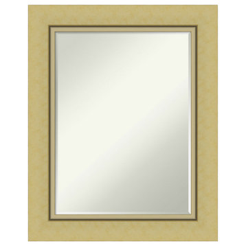 Landon Gold Petite Bevel Bathroom Wall Mirror 24.25 x 30.25 in.