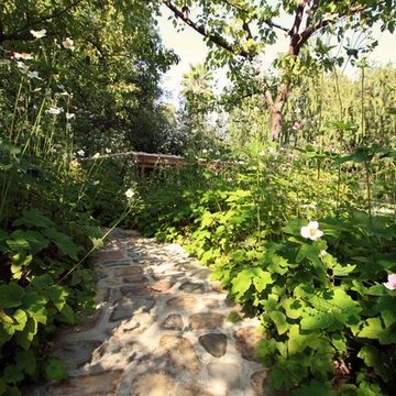 Woodland Pathway to Pool