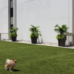 Buchanan Pool & Rooftop Patios - Outdoor Products