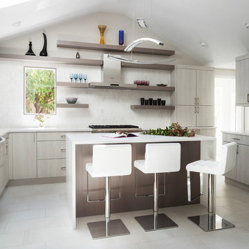 Norwalk Contemporary Kitchen Renovation