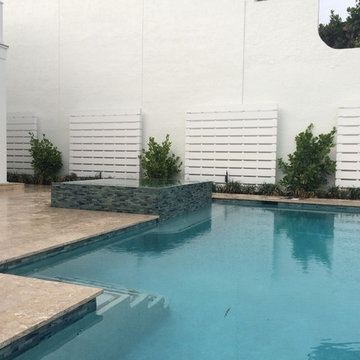 Contemporary Infinity Edge Spa & Pool