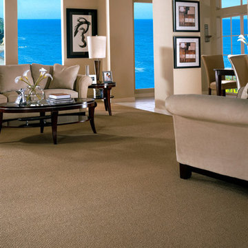 Captivating Carpet