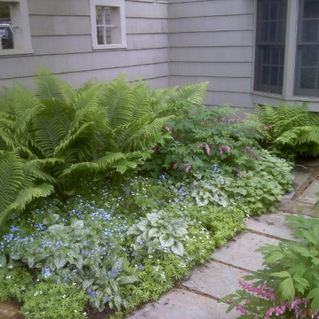 Shade Garden mid Spring (low maintenance)