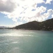 Lisa Robinson's photo