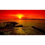 Adel Elgameil's photo