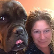 Foto von Misty Dawn