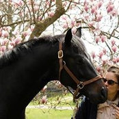 Foto von Alexandra Beaumont