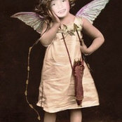 Lisa Allen's photo