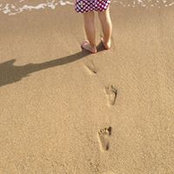 Tami Cox's photo