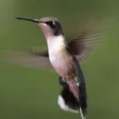 Tonya Waters Birchfield's photo