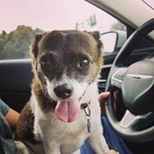 Michael Battaglia's photo