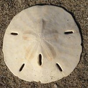 Kathi Wuhrer's photo