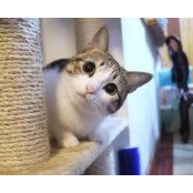 Xiao Fuさんの写真