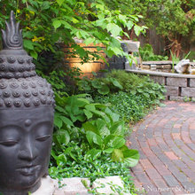 Landscape Ideas